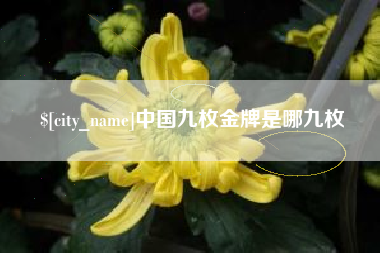 神木中国九枚金牌是哪九枚