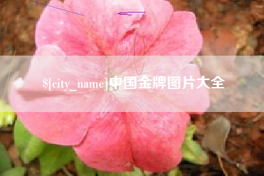 神木中国金牌图片大全