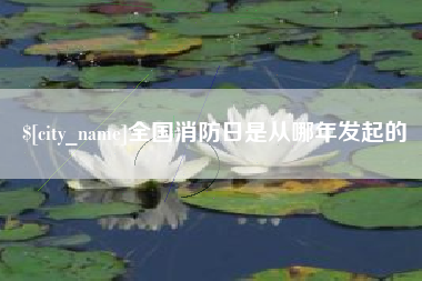 神木全国消防日是从哪年发起的