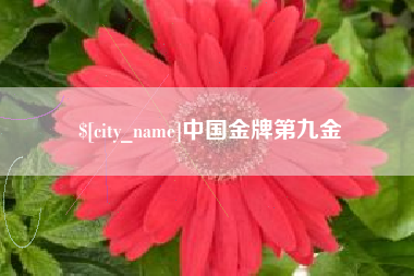 神木中国金牌第九金