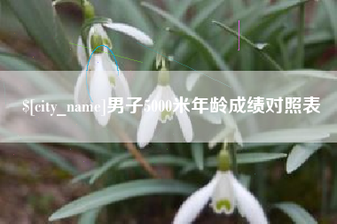 神木男子5000米年龄成绩对照表