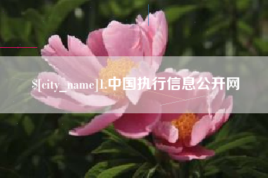 神木1.中国执行信息公开网
