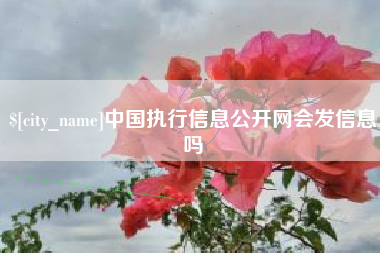 神木中国执行信息公开网会发信息吗