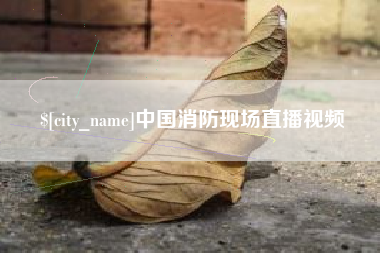 神木中国消防现场直播视频