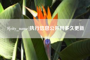 神木执行信息公开网多久更新