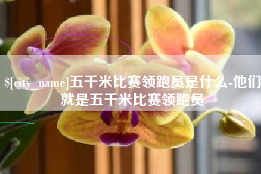 神木五千米比赛领跑员是什么-他们就是五千米比赛领跑员