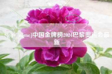 神木中国金牌榜2024巴黎奥运会最新