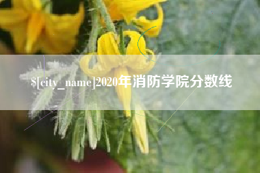 神木2020年消防学院分数线