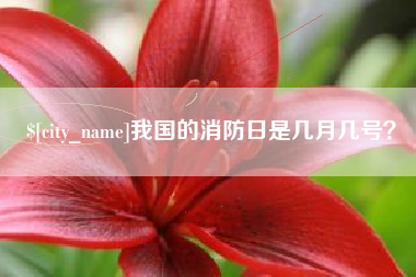 神木我国的消防日是几月几号？
