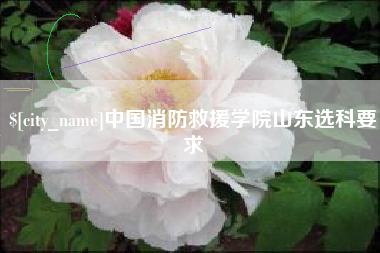神木中国消防救援学院山东选科要求