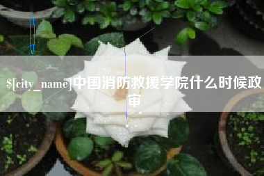 神木中国消防救援学院什么时候政审