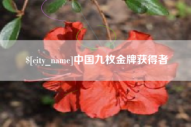 神木中国九枚金牌获得者