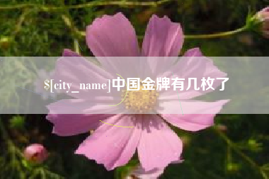 神木中国金牌有几枚了