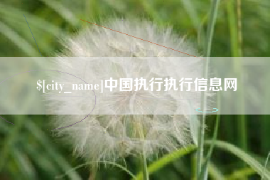 神木中国执行执行信息网