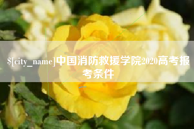 神木中国消防救援学院2020高考报考条件
