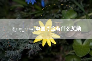 神木中国夺金有什么奖励