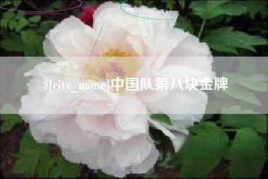神木中国队第八块金牌