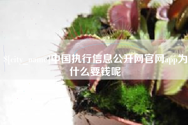 神木中国执行信息公开网官网app为什么要钱呢