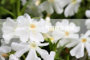 神木579九宫格如何排
