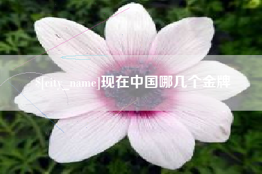神木现在中国哪几个金牌