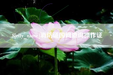 神木消防证国网查询操作证