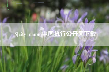 神木中国执行公开网下载