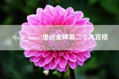 神木奥运金牌第二个九宫格