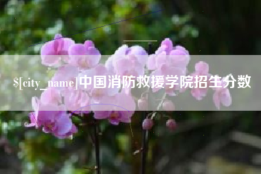 神木中国消防救援学院招生分数