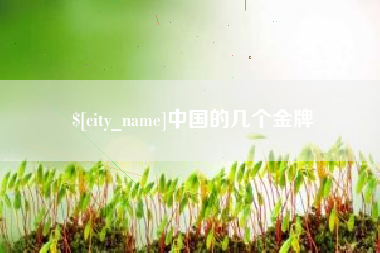 神木中国的几个金牌