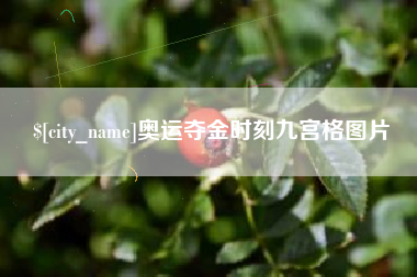 神木奥运夺金时刻九宫格图片