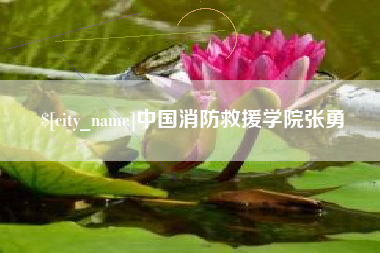 神木中国消防救援学院张勇