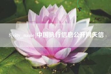 神木中国执行信息公开网失信