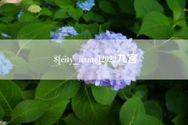 神木2022九宫