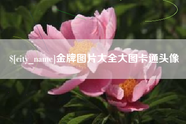 神木金牌图片大全大图卡通头像