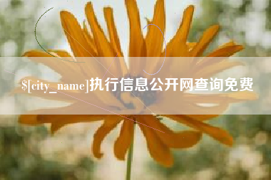 神木执行信息公开网查询免费