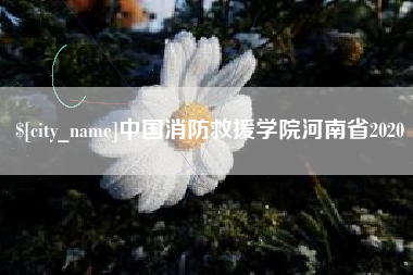神木中国消防救援学院河南省2020